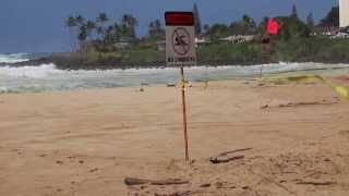 Super Swell Waimea Bay hit by 50 ft Waves on Big Wednesday