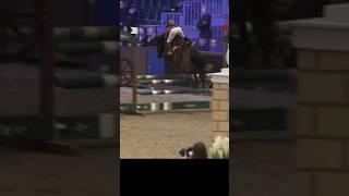 OMG THIS HAPPENED AT BLUE CHIP FINALS #horseriding #equestrian #horse #pony #showjumping #horselover