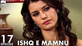 Ishq e Mamnu - Episode 17  Beren Saat Hazal Kaya Kıvanç  Turkish Drama  Urdu Dubbing  RB1Y