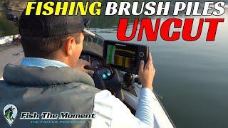2 Hours of Brush Pile Fishing For Offshore Bass  Side Imaging Down Imaging Livescope Mapping