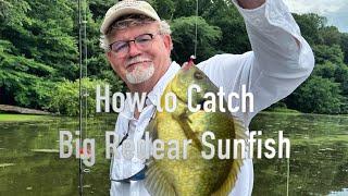 How to Catch Shellcrackers - Two Great Techniques for Big Redear Sunfish