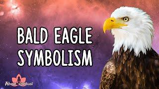 Bald Eagle Symbolism Meaning - Freedom Strength & Wisdom