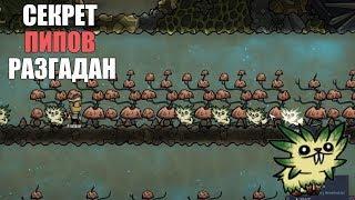 Гайд. Пипы все что нужно знать о высадке растений. Oxygen not included