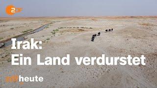 Klimakrise im Irak - Menschen flüchten vor Dürre  auslandsjournal