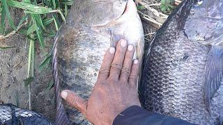 Mancing Nila Gak Usah Bingung Cari UmpanCoba Lihat ...umpan ini pasti ketagihan video ke 2