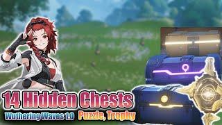 14 Hidden Chests Puzzle Trophy #1  Wuthering Waves 1.0