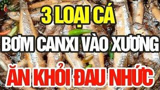 3 loại cá bơm canxi vào xương cứ ăn là khỏi đau nhức