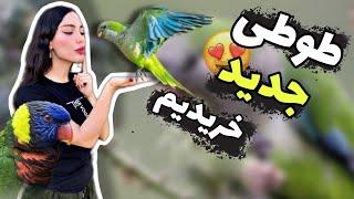 ولاگ خرید طوطی راهب از بازار پرندگان ایران IRAN BIRDS BAZAAR