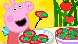 Peppa Pig Français  Le compost Episodes Complets Dessin Animé