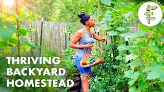 Womans Incredible Backyard Homestead Produces TONS of Food for Her Family – URBAN GARDEN TOUR