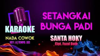 SETANGKAI BUNGA PADI KARAOKE NADA COWOK  Santa Hoky - Cipt. Fazal Dath  Key  A  Musik Korg MA