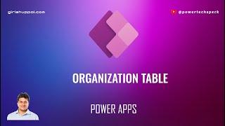 What is Organization Table in Microsoft Dataverse Power Apps?