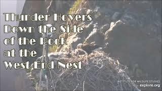 Thunder Hovers down the Side of the Rock at WE  Expore.org  2022-04-15