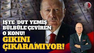 İŞTE ERDOĞANI DUT YEMİŞ BÜLBÜLE DÖNDÜREN O KONU