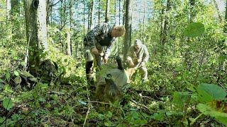 ДОБЫЛИ БЫКА НА РЕВУ ПРИВЕЗЛИ ДОМОЙ МНОГО МЯСА. Трудовая ОХОТА получилась.