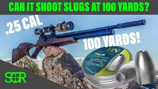 Can the JTS Airacuda Shoot Slugs? at 100 YARDS?? - H&N .25 CAL SLUGS