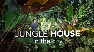 Inside a DIY Jungle Garden & Art-filled Home  Garden Design Tips ft Journey Through Paradise