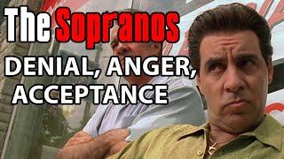 Denial Anger Acceptance F Word Counter - Soprano Theories