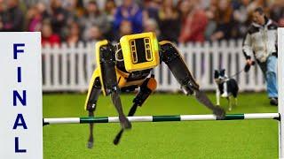 I Entered A Robot Dog Into A Dog Competition