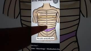 Doctor Explains Why Touching Your Belly Button Feels Naughty
