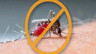 Средство от комаров  Защита от комаров на природе