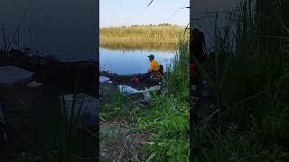 #fishing #fishinglife Сидить рибак...чекає рибак