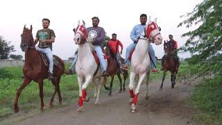 YEOLA - Trail Ride at SAMRAT JADHAV Farm  Maharashtra