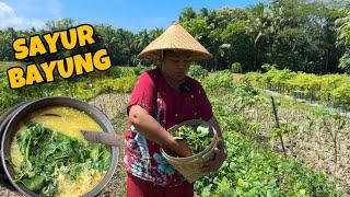 MASAK LEMBAYUNG SEGAR LANGSUNG PETIK DARI SAWAH