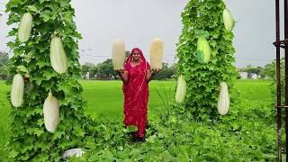 बरसात के मौसम में बनाए हांडी में ककरी की दाल और चावल  Cucumber dal recipe