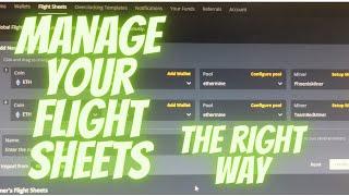 HiveOS Flight sheet managing 1 rig