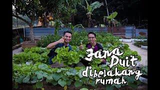 Jana pendapatan dari kebun belakang rumah - RR Garden