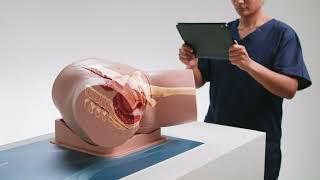 Catheterization Trainer Range Augmented Reality Mats