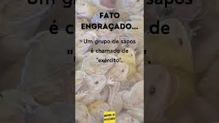 Fato Engraçado você sabia que os Sapos #shorts #animals  #sapos