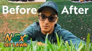 This N-Ext Cocktail Can SAVE Your LAWN  N-Ext™ DIY Lawn Care Tips