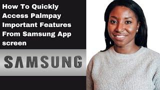 How To Quickly Access Palmpay Important Features From Samsung App screen