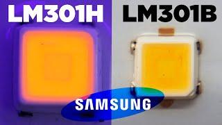 ARE YOUR LEDs REAL?? Samsung LM301H vs LM301B vs LM301D vs 2835 - How to tell Fake LED Grow Lights