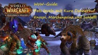 WoW-Guide Pet-Leveln mit Kura Donnerhuf  Knospi Märchenprinz und Schlaffi