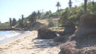 Refugio State Beach Park plans to reopen August First