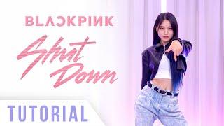 BLACKPINK - Shut Down Dance Tutorial Explanation & Mirrored  Ellen and Brian