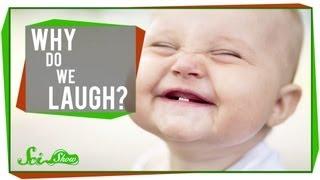 Why Do We Laugh?