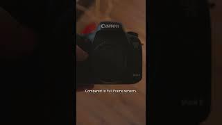 Are They Good For Vlogging? Canon 7D Mark II vs Canon T7