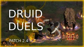 D2R PvP #20 Best PvP Class - The Ele Druid