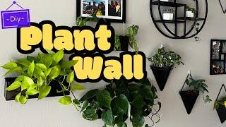 I FINALLY Built The Plant Wall Of My Dreams  PART 2