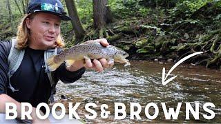 Exploring the Pennsylvania mountains Fly fishing for Brook & Brown trout