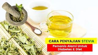 MANFAAT DAN CARA PENYAJIAN DARI BUBUK STEVIA PEMANIS ALAMI UNTUK SAKIT DIABETES & DIET ALAMI