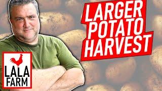 Growing Lots of Potatoes - Cover them up for higher yields