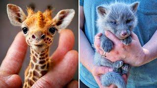 20 Cutest Baby Animals You Won’t Believe Exist