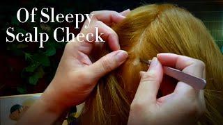 ASMR Of Sleepy Scalp Check For Problem Dandruff  No Talking 