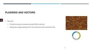 Molecular Cloning Part 1