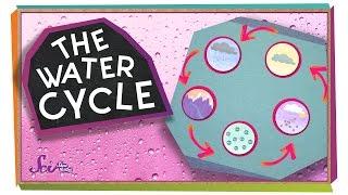 Where Does Water Come From?  Ecology for Kids